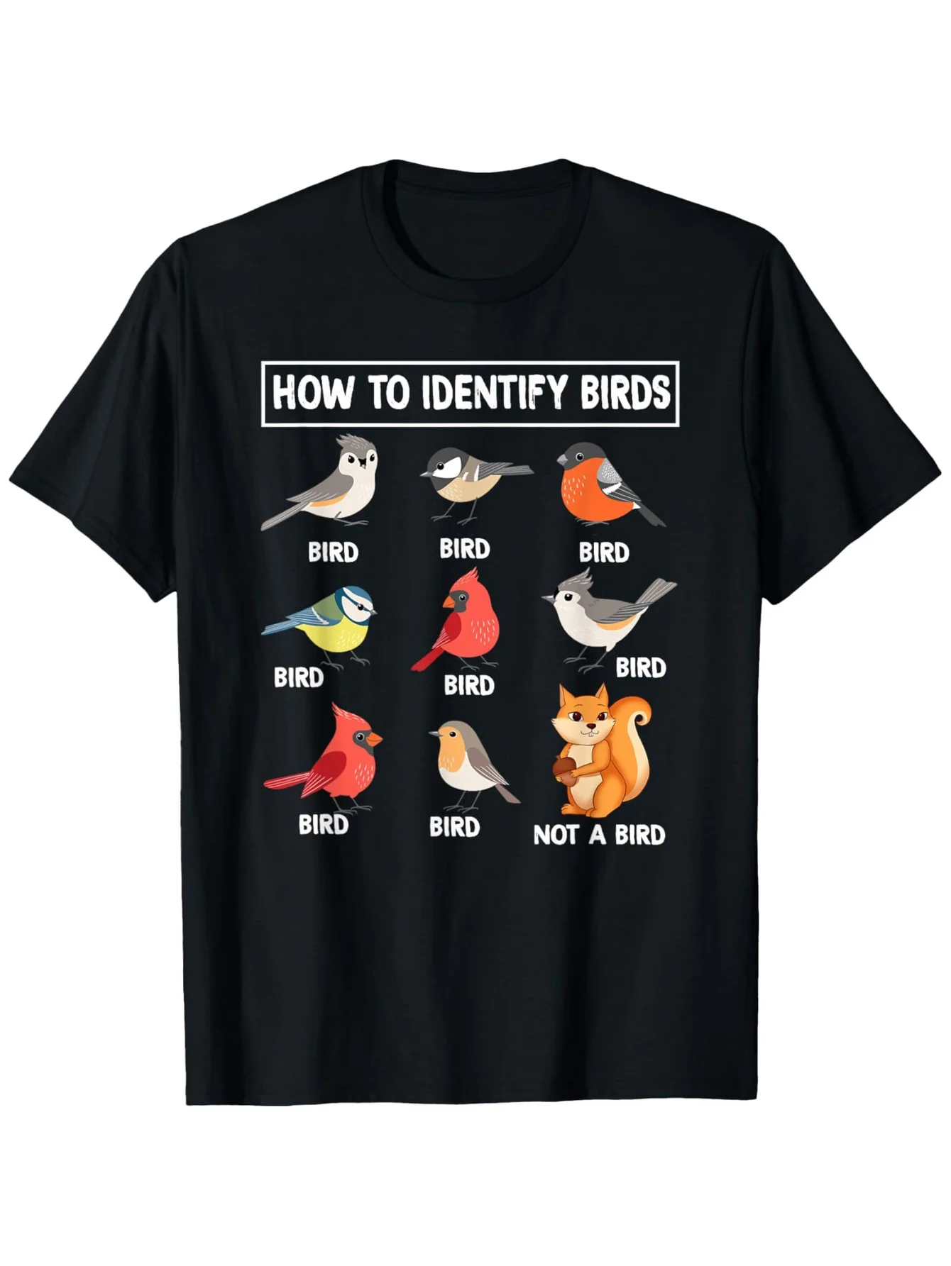 Summer Clothing Pictures - 2026: hoe u vogels, niet-vogels, eekhoorns
